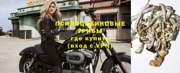 ECSTASY Ростов